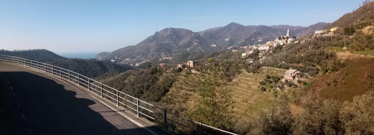 Casa Vacanze Tra Le Mura 레반토 외부 사진