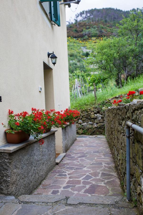 Casa Vacanze Tra Le Mura 레반토 외부 사진