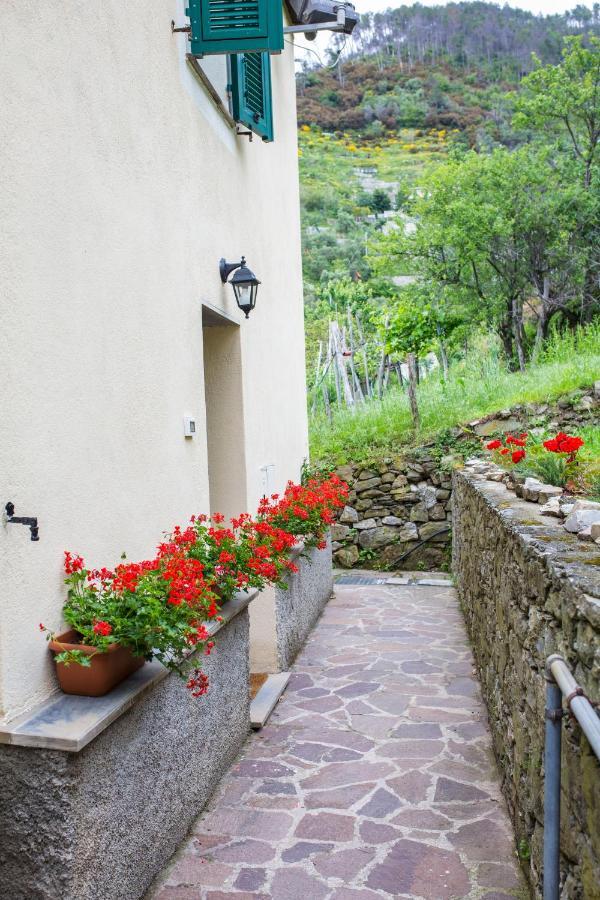 Casa Vacanze Tra Le Mura 레반토 외부 사진