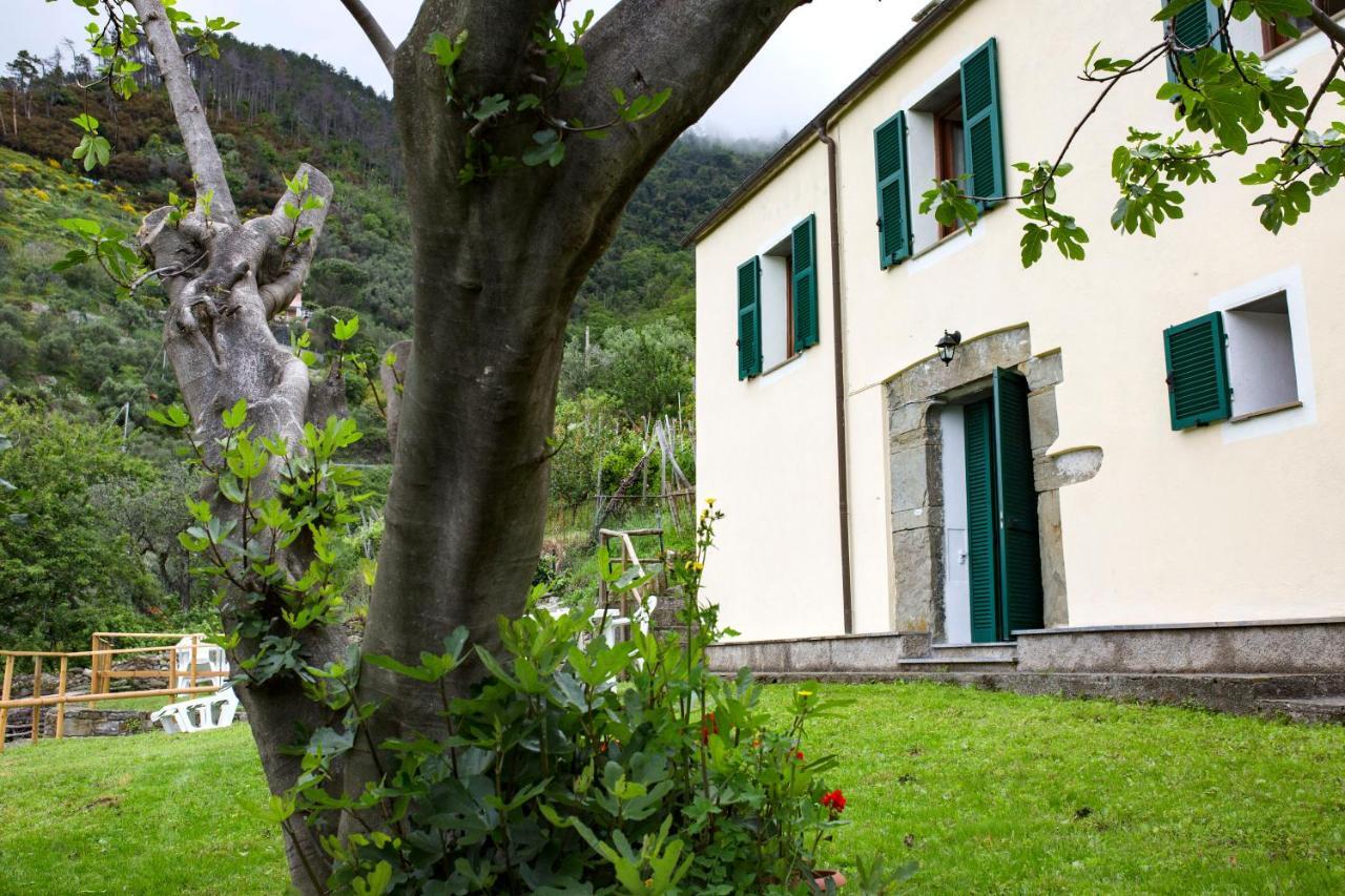 Casa Vacanze Tra Le Mura 레반토 외부 사진