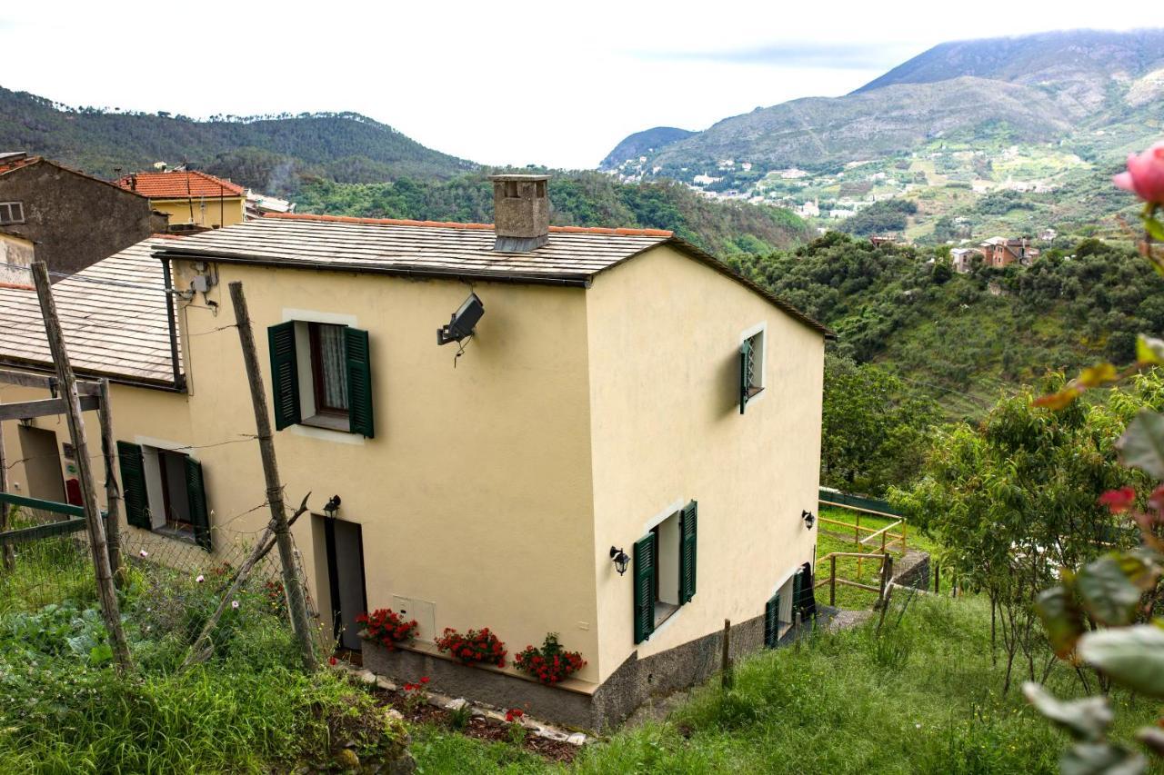 Casa Vacanze Tra Le Mura 레반토 외부 사진