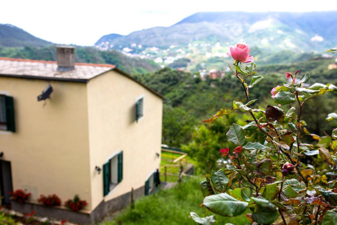 Casa Vacanze Tra Le Mura 레반토 외부 사진